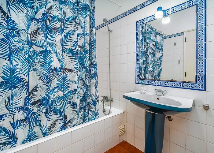 Rocha * 포티마오